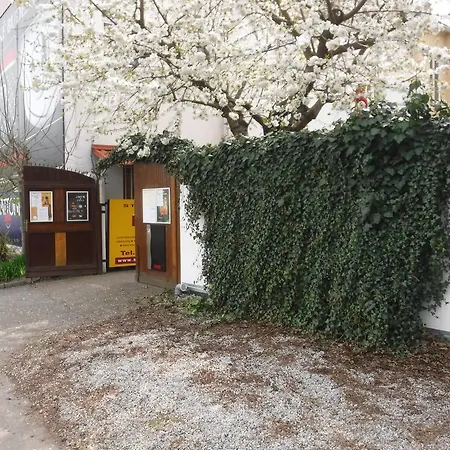 Macelis Maison d'hôtes *